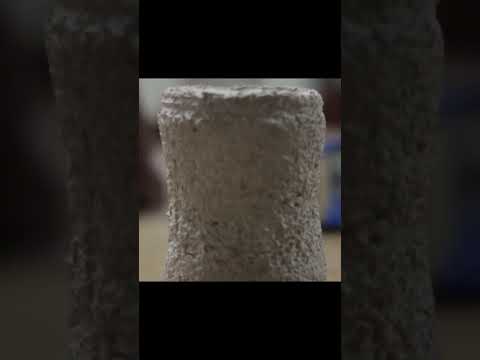 Mycelium used as a packing material by &quot;Ecovative designs&quot;